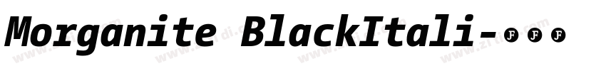 Morganite BlackItali字体转换